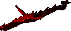 Красный Морской Дракончик (Red Sea Drake)