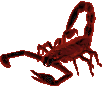 Скорпион Ассасин (Assasin Scorpion)