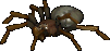 Гигантский паук (Giant Spider)