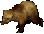Grizzly Bear